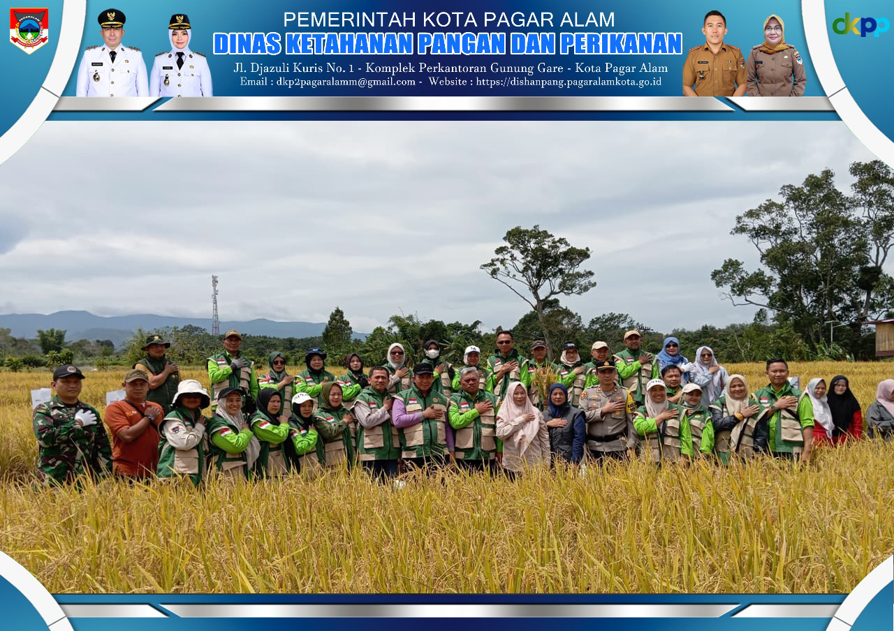 PANEN BERSAMA PADI SAWAH