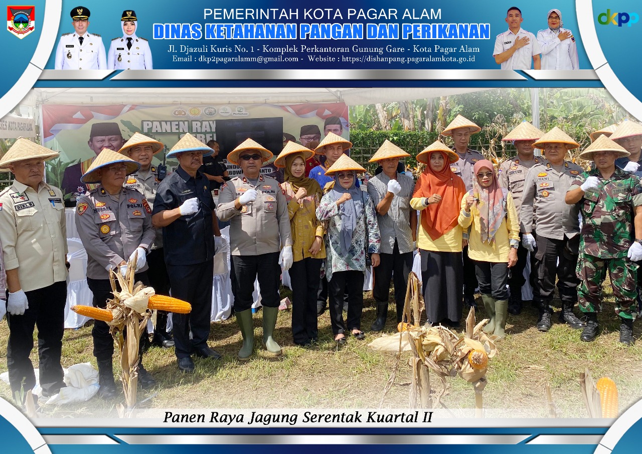 Dukung Asta Cita Swasembada Pangan, Pemerintah Bersama Polres Kota Pagar Alam Panen Raya Jagung Serentak  Kuartal II