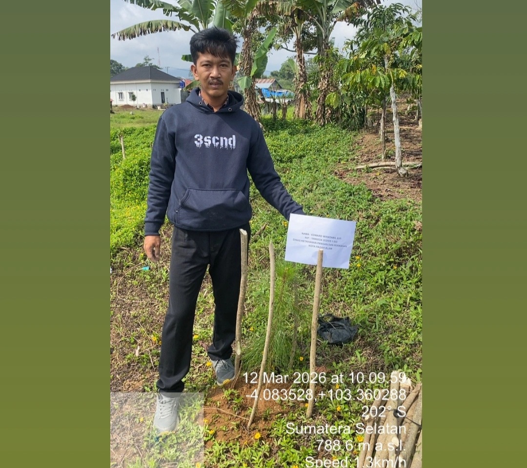 Langkah Nyata menuju PNS, CPNS DKPP Laksanakan penanaman Pohon Pinus