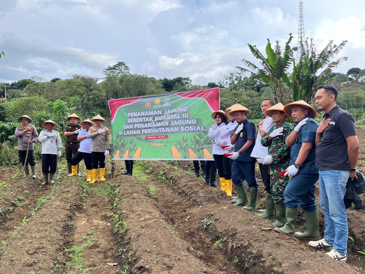 Dinas Ketahanan Pangan dan Perikanan Kota Pagar Alam Dukung Penanaman Jagung Serentak Kuartal III