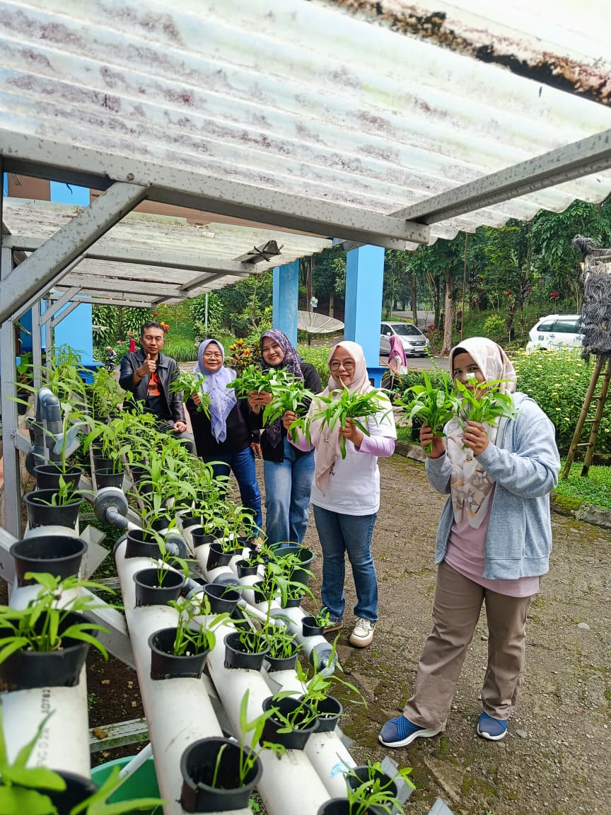 Jumat Bersih dan Panen Kangkung Hidroponik, DKPP Kota Pagar Alam Wujudkan Lingkungan Kerja Sehat dan Produktif