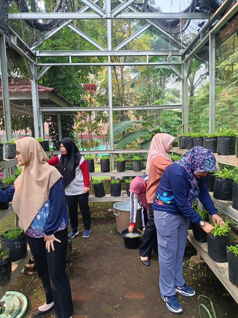Manfaatkan Lahan Sempit, Lingkungan Kantor Disulap Menjadi Kebun Hidroponik